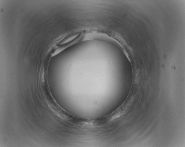 X0000080770068200701021133