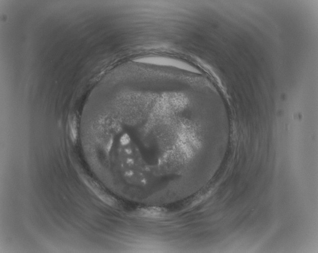 X0000080770069200701021133