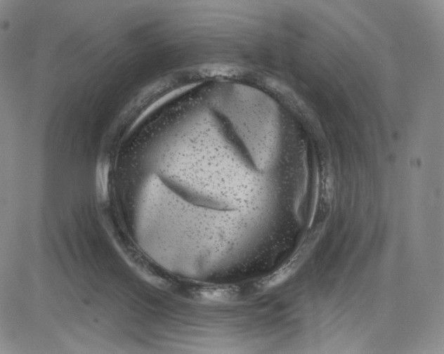 X0000080770070200701021133