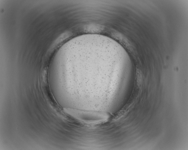 X0000080770071200701021133