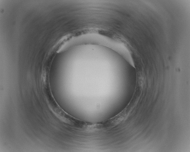 X0000080770072200701021133