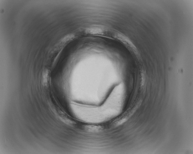 X0000080770073200701021133