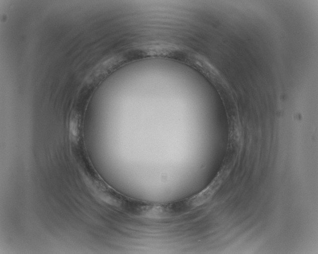 X0000080770074200701021133