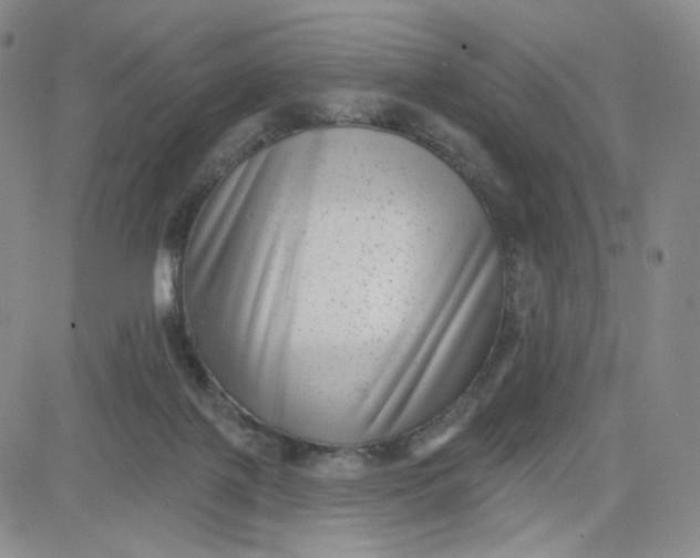 X0000080770075200701021133