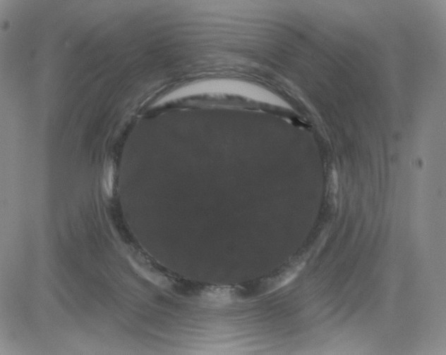 X0000080770076200701021133