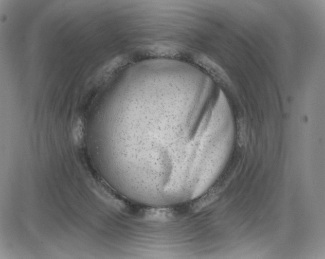 X0000080770077200701021133