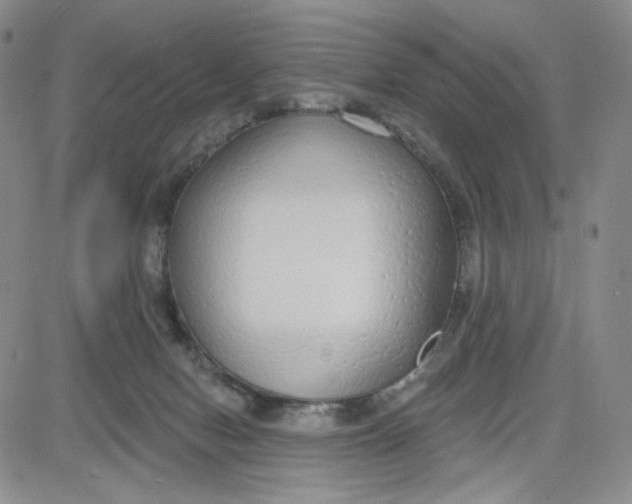 X0000080770078200701021133