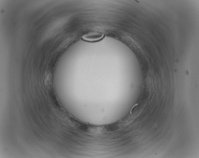 X0000080770079200701021133