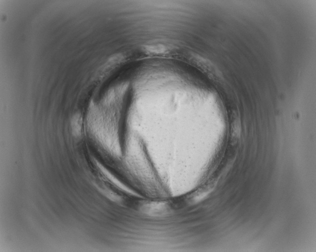 X0000080770081200701021133