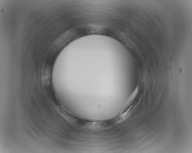 X0000080770082200701021133