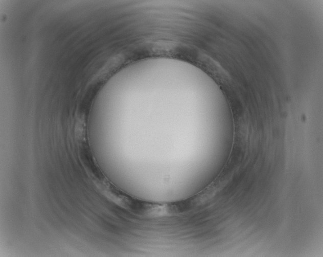 X0000080770083200701021133