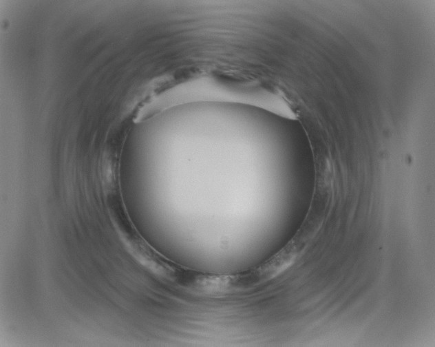 X0000080770084200701021133