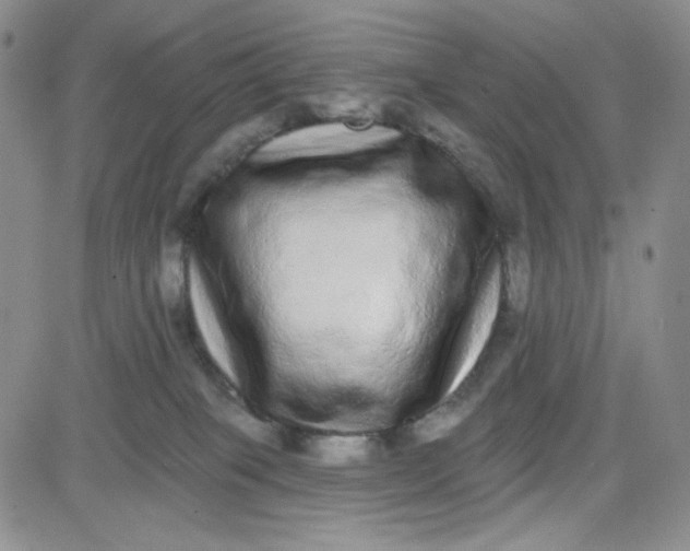 X0000080770085200701021133