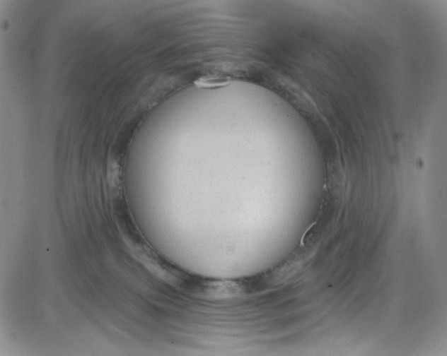 X0000080770087200701021133