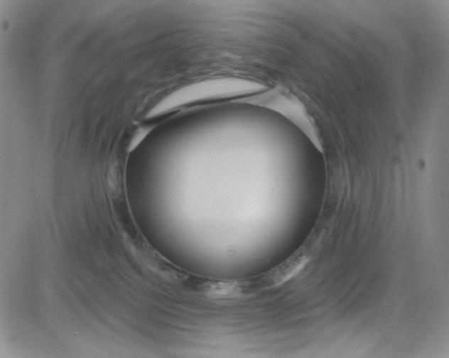 X0000080770088200701021133