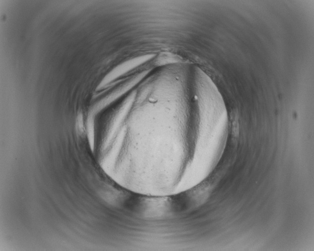 X0000080770089200701021133