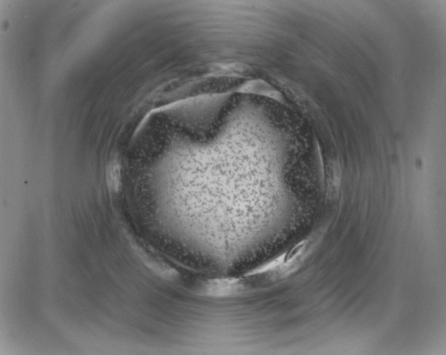 X0000080770090200701021133