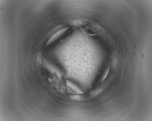 X0000080770091200701021133