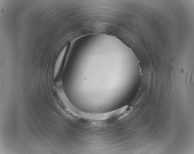 X0000080770092200701021133