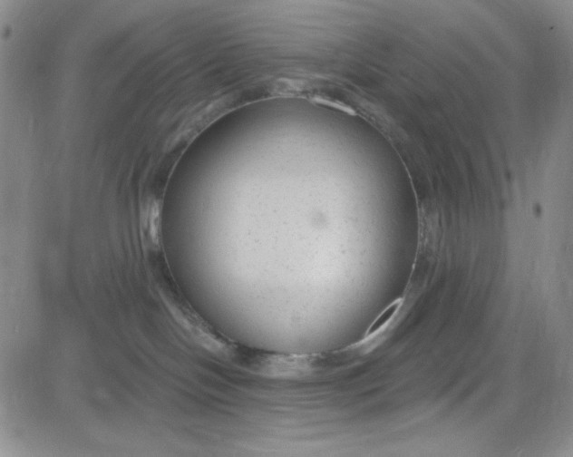 X0000080770094200701021133