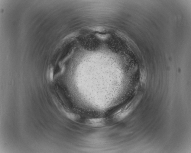 X0000080770095200701021133