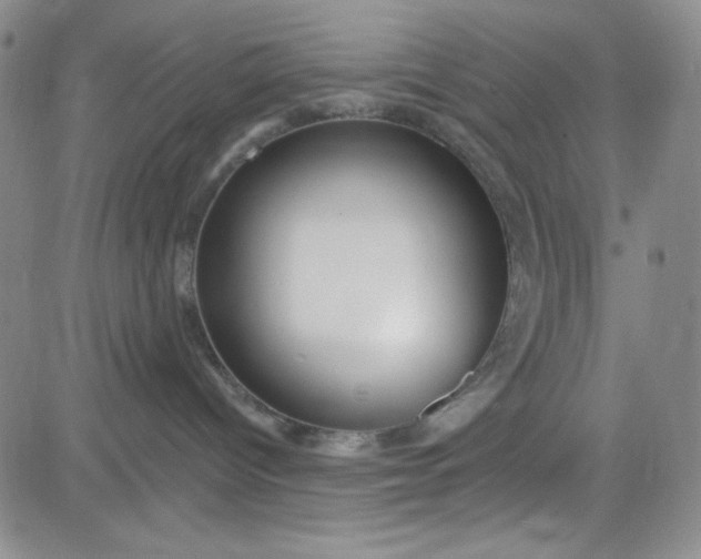 X0000080770096200701021133