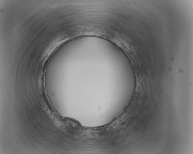 X0000080770098200701021132