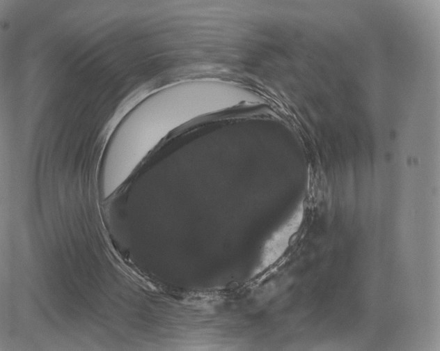 X0000080770099200701021132