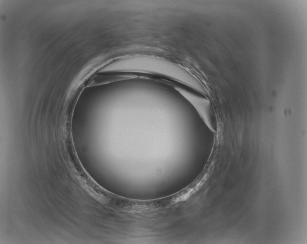 X0000080770101200701021132