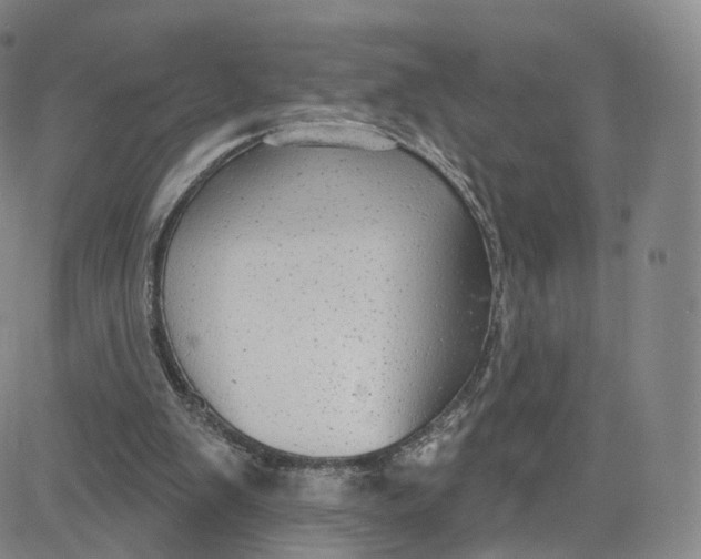 X0000080770103200701021132