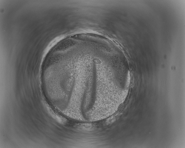 X0000080770104200701021132