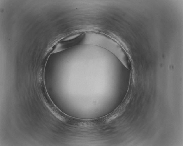 X0000080770105200701021132