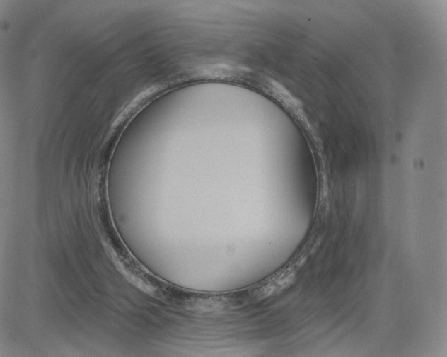 X0000080770106200701021132