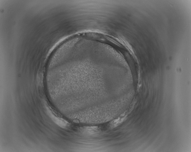 X0000080770108200701021132