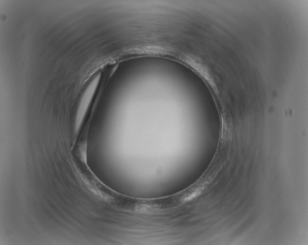 X0000080770109200701021132