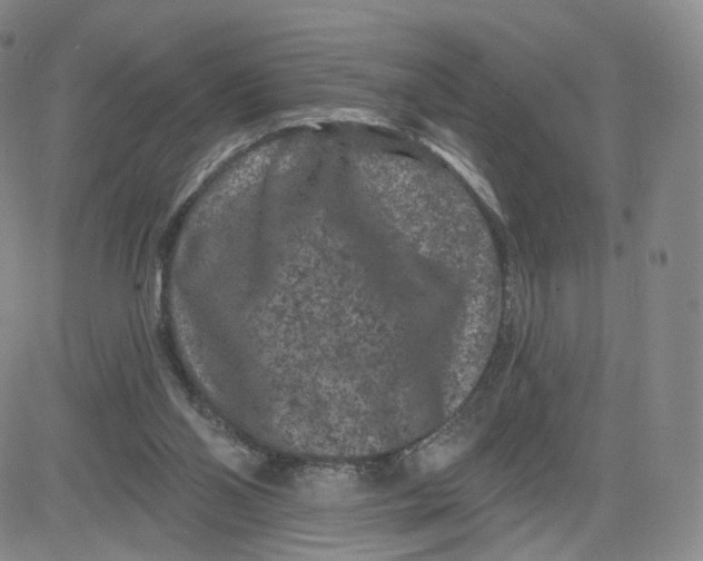 X0000080770110200701021132