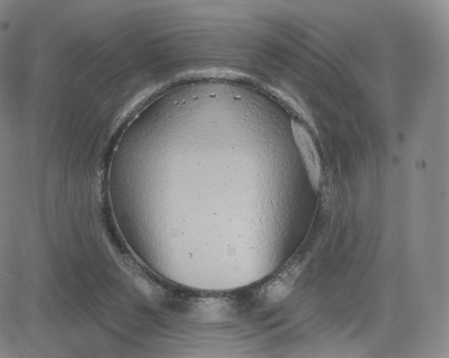 X0000080770111200701021132