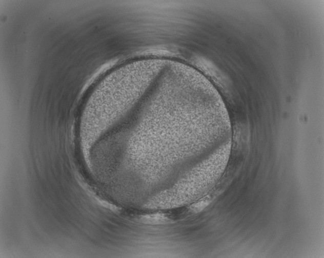 X0000080770112200701021132