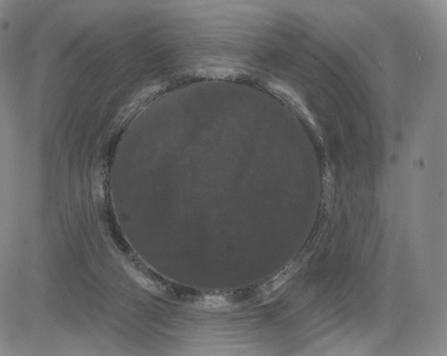 X0000080770114200701021132