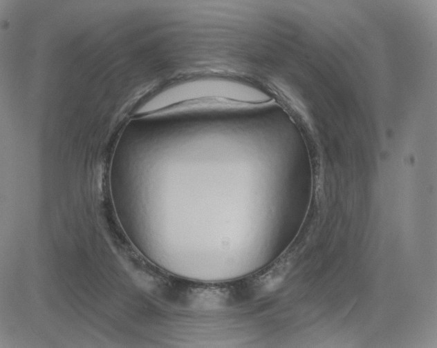 X0000080770115200701021132