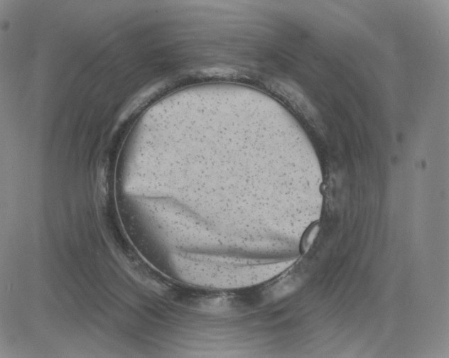 X0000080770116200701021132