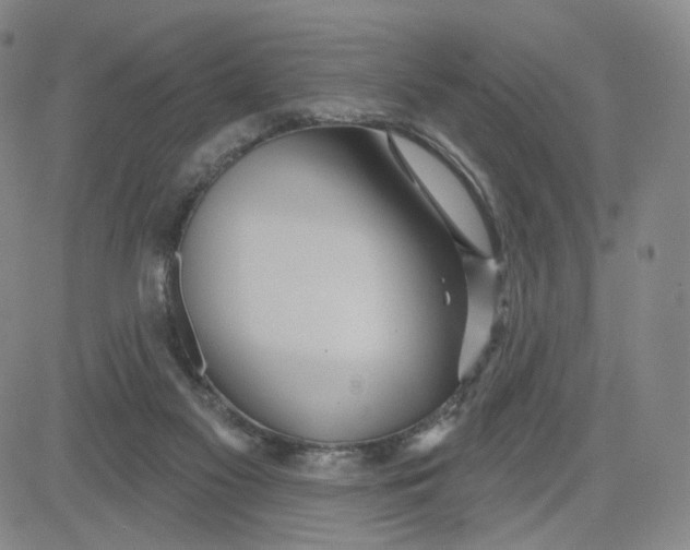 X0000080770117200701021132