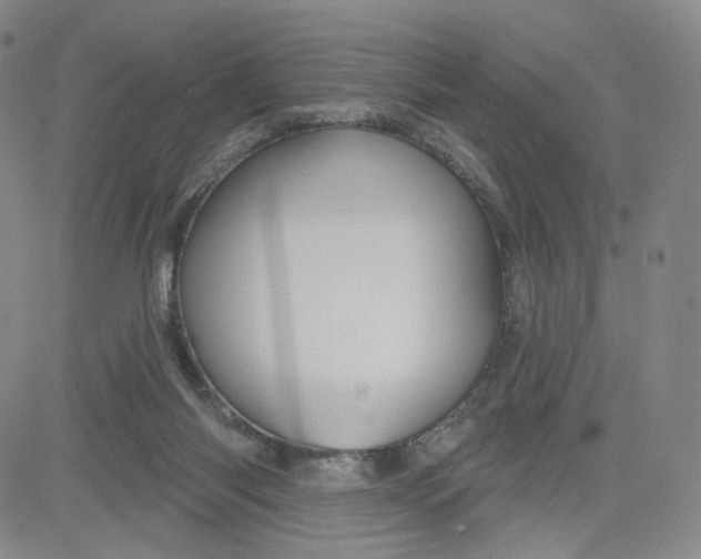 X0000080770118200701021132