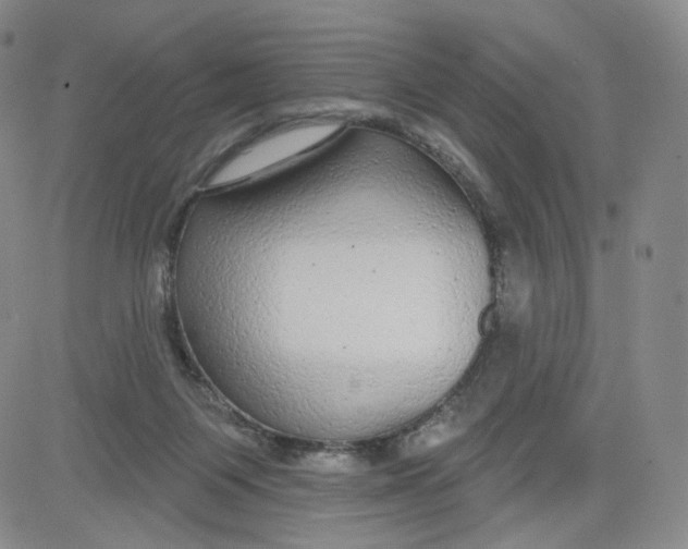 X0000080770119200701021132