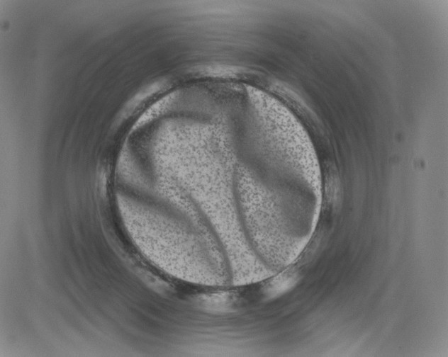 X0000080770120200701021132