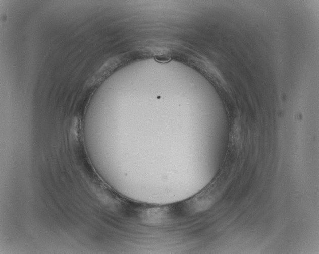 X0000080770122200701021132