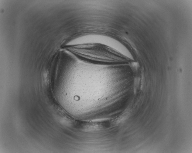 X0000080770123200701021132