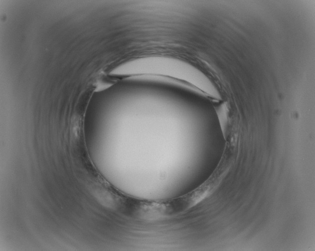 X0000080770125200701021132