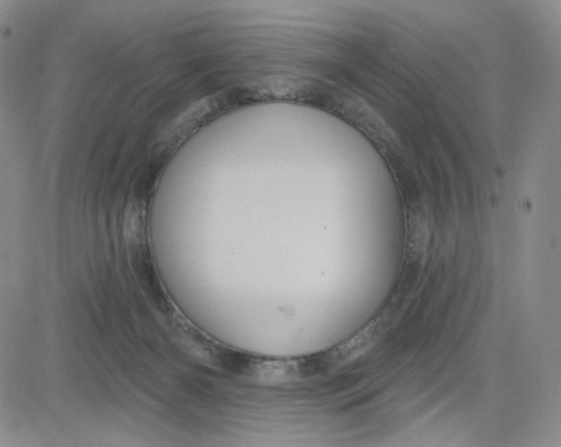 X0000080770126200701021132