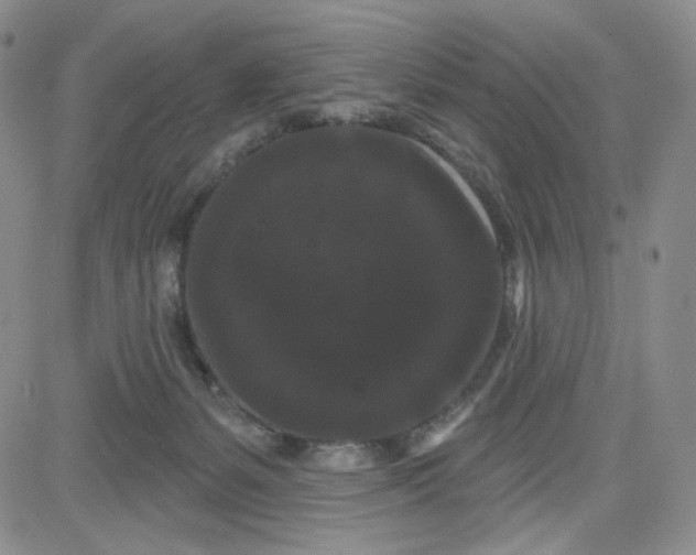 X0000080770127200701021132